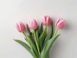 Beautiful tulip flowers with copy Space background, top view. photo