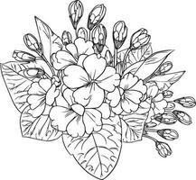 Primrose coloring  book hand drawn botanical spring elements bouquet of primrose flower line art, coloring page, vector sketch, artistic simplicity doodle art, Easy yellow plimur flower drawing.