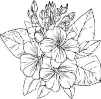 Primrose isolated, hand-drawn floral element. vector illustration bouquet of Primula Francisca, sketch art beautiful primrose, primula flower tattoo, coloring page for adults, vintage primula drawing