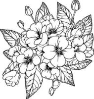 Pimrose bouquet, of flower design for card or print. hand painted flower illustration isolated on white, engraved ink art floral coloring pages, and books for print, pretty flower colorin page vector