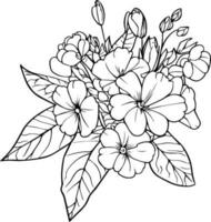 Primrose tattoo, black and white vector sketch illustration of floral ornament bouquet of Primula Francisca simplicity, Embellishment, zentangle design element for card printing coloring pages,