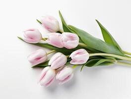Beautiful tulip flowers with copy Space background, top view. photo