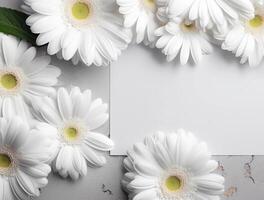 Beautiful gerbera flowers on grey background, top view. photo