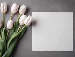 Beautiful tulip flowers with copy Space background, top view. photo