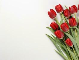 Beautiful tulip flowers with copy Space background, top view. Space for text photo