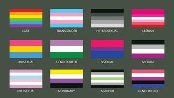 set simple sexual and gender colorful flags vector