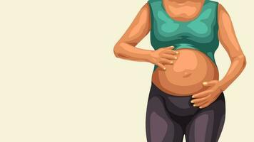 pregnant womans belly on white vector