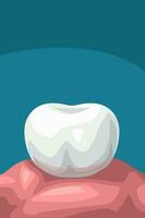 cartoon single tooth on blue vector