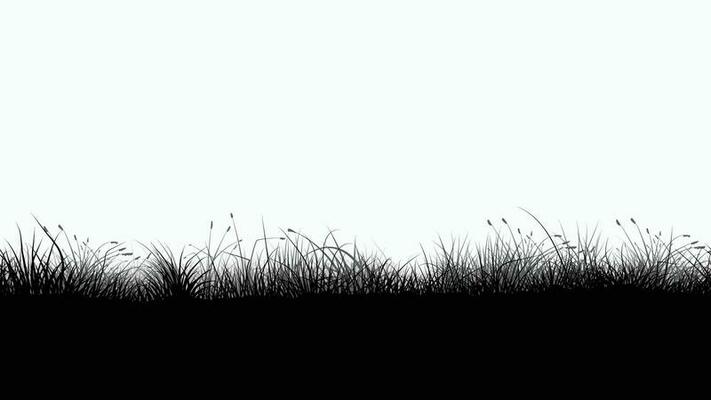 black color silhouette grass seamless on white