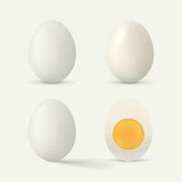 realistic white color egg set on white vector