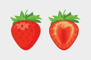 strawberry set on white background vector