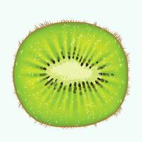 kiwi Fruta frente ver en blanco espalda vector