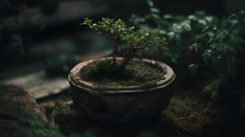 Beautiful bonsai plant display in a ceramic pot outside. AI Generated photo