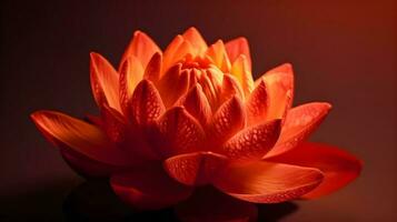 A perfect red Lotus flower close up macro shot on red background studio shot. AI Generated photo