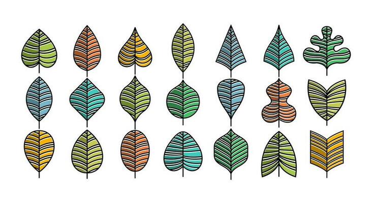 Colorful cartoon line organic leaf design. Fun eco leaf plant icon design set.