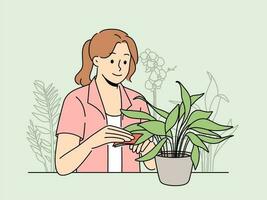 sonriente mujer limpiar hojas en planta de casa. contento niña tomar cuidado de planta a hogar. jardinería y pasatiempo concepto. vector ilustración.