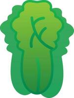 Napa Cabbage Vector Icon Design