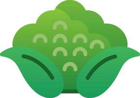 Cauliflower Vector Icon Design