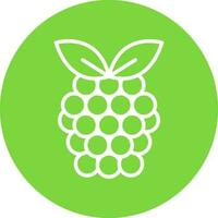 Raspberry Vector Icon Design