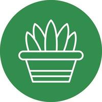 Aloe Vera  Vector Icon Design