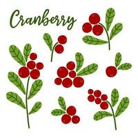 Cranberry set. Autumn red wild berries with green leaves. Cartoon vector illustration on white background.