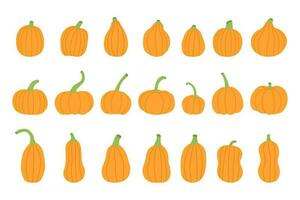 Autumn pumpkin set. Thanksgiving holidays vegetable collection. Flat vector illustration.