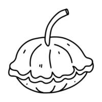 Squash. Hand drawn doodle style. Vector illustration isolated on white. Coloring page.