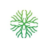 Coral Logo, Marine Plant Design Place Marine Animal, Seaweed Sea Vector