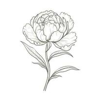 leaf Peony flower ai generated photo