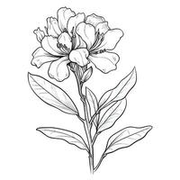 spring Rhododendron flower photo