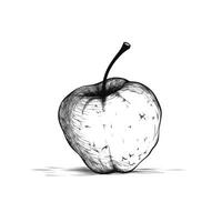 old rotten apple photo