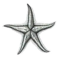 pescado estrella de mar ai generado foto