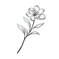 tea Jasmine flower ai generated photo