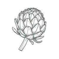 globe artichoke ai generated photo