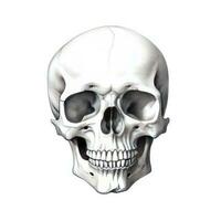 death skull ai generated photo