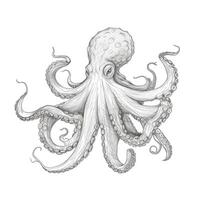 squid Octopus ai generated photo