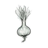 background onion ai generated photo