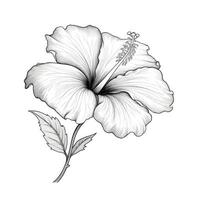 plant Hibiscus flower ai generated photo