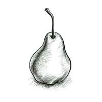 pear pear ai generated photo