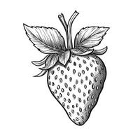 fruit strawberry ai generated photo