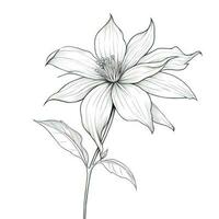 floral Clematis flower ai generated photo