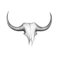 bull buffalo horn ai generated photo