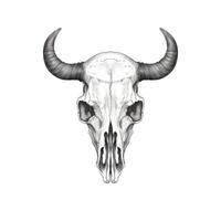 head skull cow horn ai generated photo