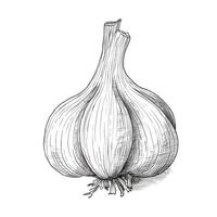 vegetable garlic ai generated photo