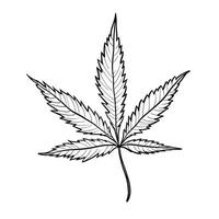 hemp cannabis leaf ai generated photo