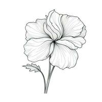 pot Begonia flower ai generated photo