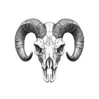 sheep skull ram horn ai generated photo