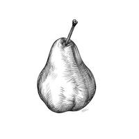 half pear ai generated photo