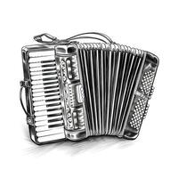 bayan accordion aesthetic photo