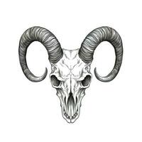 goat skull ram horn ai generated photo